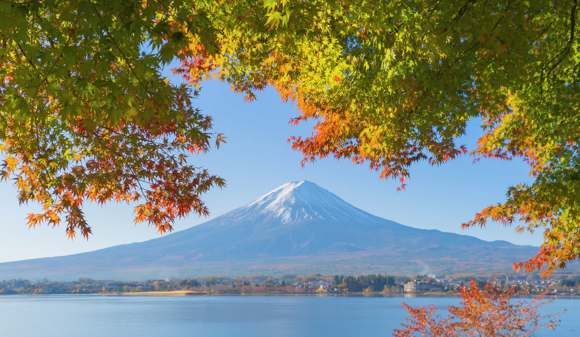 HI JAPAN
